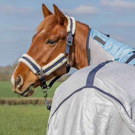 GS Equestrian Combo Fly Rug #colour_silver-blue