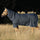 Horseware Ireland Amigo Bravo 12 Plus 400g Heavy Turnout Rug #colour_navy-strong-blue-black