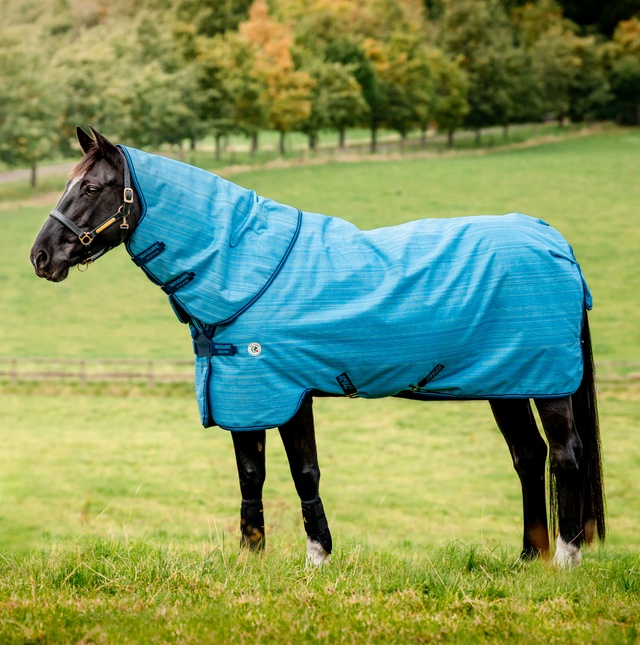 Horseware Ireland Amigo Hero 900 Revive Plus 200g #colour_ocean-blue-navy-electric-blue