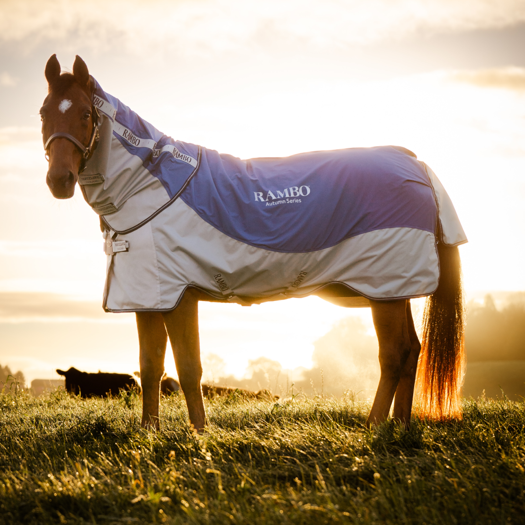 Horseware Ireland Rambo Autumn Series