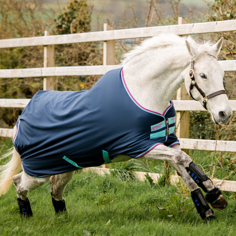 Horseware Ireland Amigo Hero 900 Pony Turnout Medium 200g #colour_dark-blue-capri-raspberry