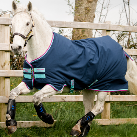 Horseware Ireland Amigo Hero 900 Pony Turnout Medium 200g #colour_dark-blue-capri-raspberry
