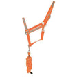 #colour_orange
