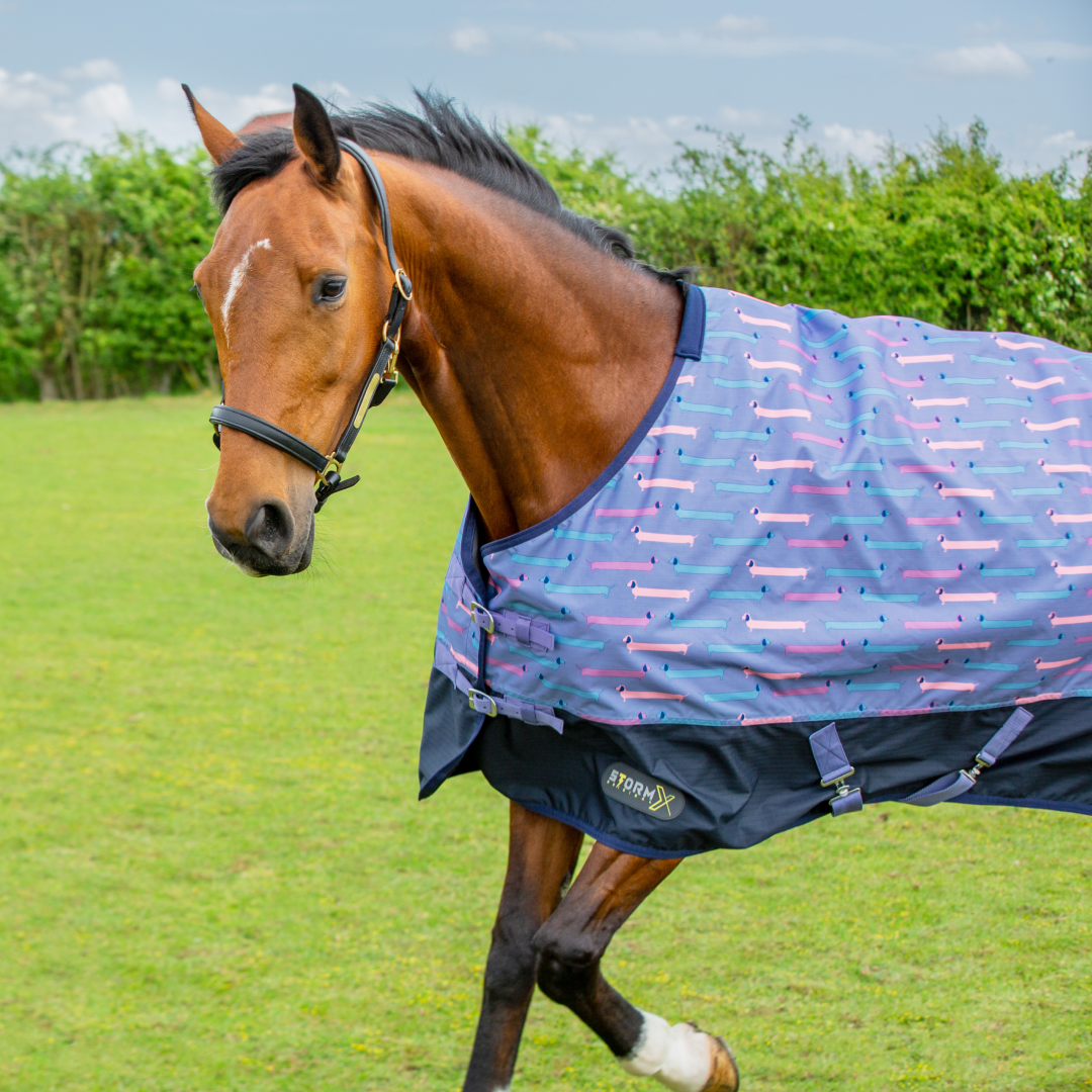 StormX Original Dorris The Dachshund 0g Turnout Rug #colour_riviera-navy