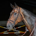 Whitaker Ready To Ride Flash Bridle #colour_havana