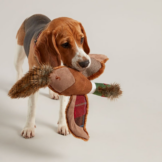 Joules Pheasant Dog Toy #colour_brown