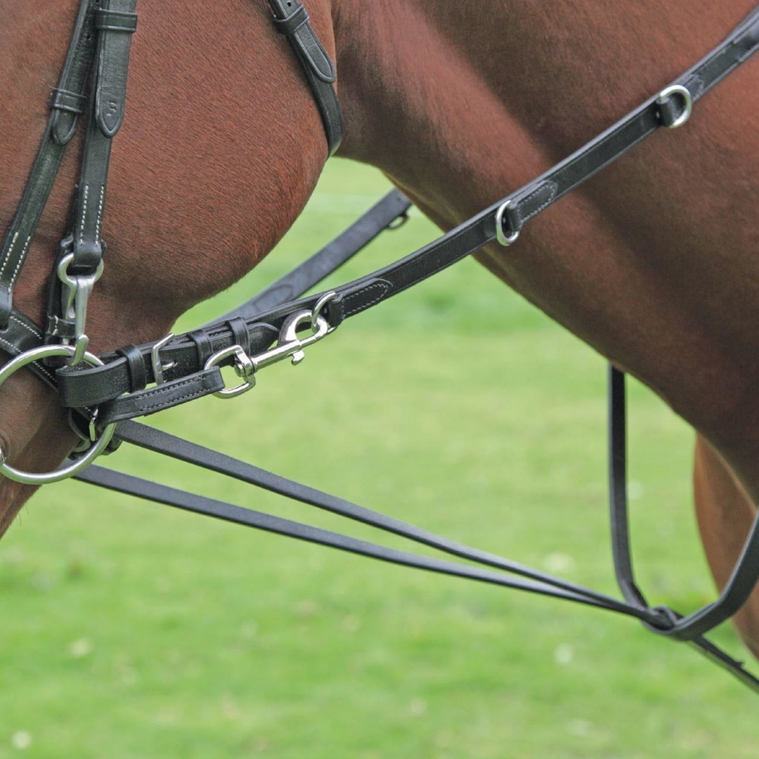 Shires Blenheim Buckle Leather Lead Rein | Houghton Country