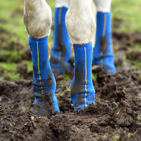 Equilibrium Equi-Chaps Close Contact Chaps #colour_navy